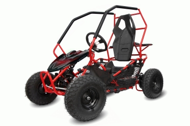 NITRO MOTORS 1000W Eco midi Kinder Buggy Racer PRM 6" ALM